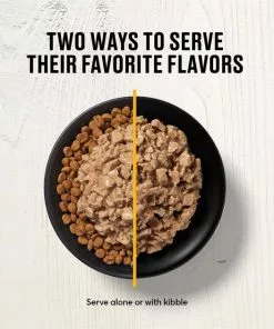 American Journey Minced Chicken Recipe in Gravy Grain-Free Canned Cat Food 15 American Journey Minced Chicken Recipe in Gravy Grain-Free Canned Cat Food -American Journey Store 133941 PT5. SY630 V1624996661