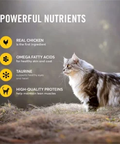 American Journey Minced Chicken & Tuna Recipe in Gravy Grain-Free Canned Cat Food -American Journey Store 133945 PT3. SY630 V1624995753