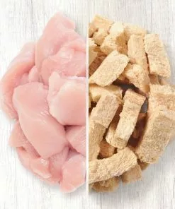 American Journey 100% Chicken Freeze-Dried Grain-Free Cat Treats -American Journey Store 145359 PT4. SY630 V1606178209