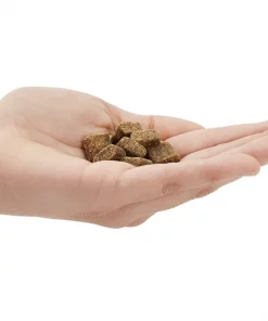 American Journey Salmon Recipe Grain-Free Soft & Chewy Training Bits Dog Treats -American Journey Store 151160 PT3. SY630 V1553098933