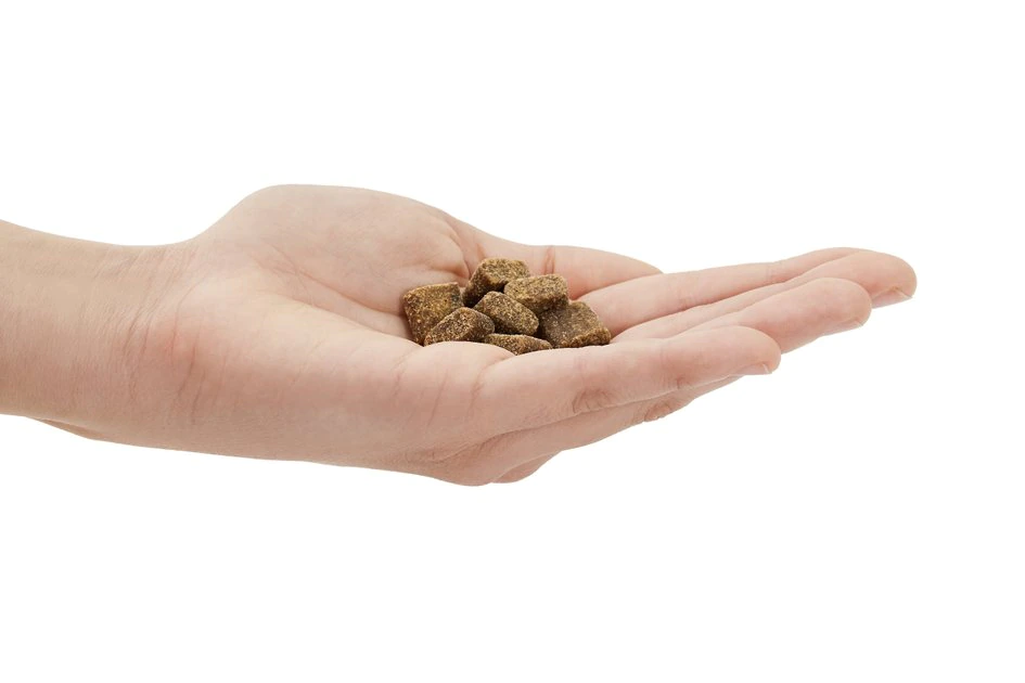 American Journey Beef Recipe Grain-Free Soft & Chewy Training Bits Dog Treats 6 American Journey Beef Recipe Grain-Free Soft & Chewy Training Bits Dog Treats - Image 4