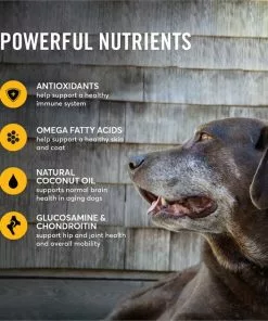 American Journey Senior Chicken & Sweet Potato Recipe Grain-Free Dry Dog Food -American Journey Store 151814 PT4. SY630 V1607154735