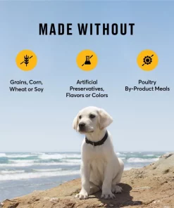 American Journey Large Breed Puppy Chicken & Sweet Potato Recipe Grain-Free Dry Dog Food -American Journey Store 151816 PT6. SY630 V1607131630