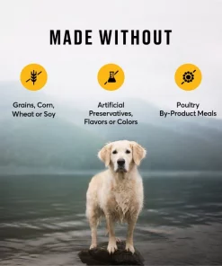 American Journey Healthy Weight Chicken & Sweet Potato Recipe Grain-Free Dry Dog Food -American Journey Store 151818 PT6. SY630 V1607136143