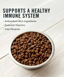 American Journey Active Life Formula Puppy Chicken, Brown Rice & Vegetables Recipe Dog Food -American Journey Store 151822 PT4. SY630 V1594222556