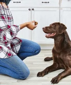 American Journey Turkey Recipe Grain-Free Soft-Baked Dog Treats -American Journey Store 153914 PT5. SY630 V1551800243