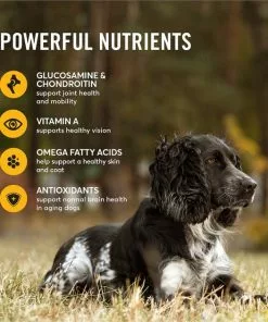 American Journey Active Life Formula Senior Chicken, Brown Rice & Vegetables Recipe Dry Dog Food -American Journey Store 153933 PT5. SY630 V1593700861