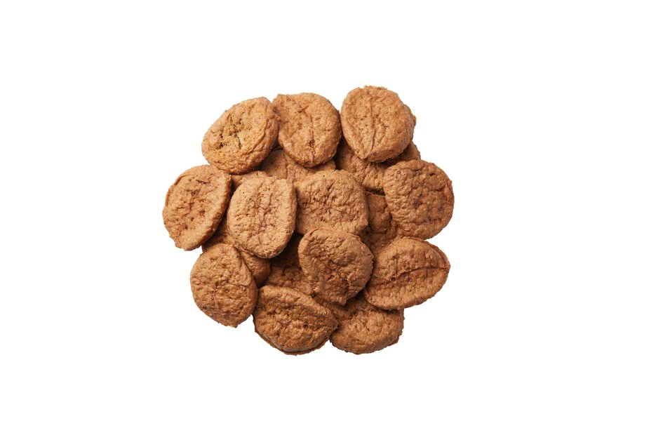 American Journey Limited Ingredient Grain-Free Duck Recipe Soft & Chewy Dog Treats 7 American Journey Limited Ingredient Grain-Free Duck Recipe Soft & Chewy Dog Treats - Image 5