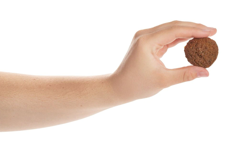 American Journey Limited Ingredient Grain-Free Salmon Recipe Soft & Chewy Dog Treats 6 American Journey Limited Ingredient Grain-Free Salmon Recipe Soft & Chewy Dog Treats - Image 4