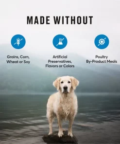 American Journey Healthy Weight Salmon & Sweet Potato Recipe Grain-Free Dry Dog Food, 24-lb bag -American Journey Store 183120 PT6. SY630 V1607145732