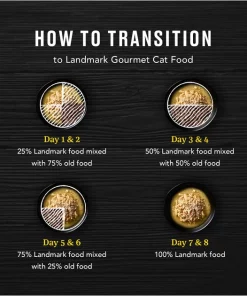 American Journey Landmark Mackerel & Tuna Recipe in Broth Grain-Free Canned Cat Food, 3-oz, case of 12 -American Journey Store 193498 PT7. SY630 V1582124356