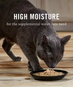 American Journey Landmark Tuna & Tilapia Recipe in Broth Grain-Free Canned Cat Food, 3-oz, case of 12 -American Journey Store 193502 PT5. SY630 V1582044269