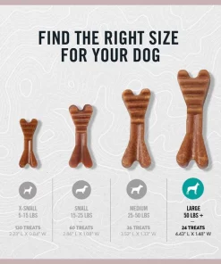 American Journey Large Grain-Free Original Dental Dog Treats -American Journey Store 213564 PT3. SY630 V1603375025