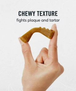 American Journey Large Grain-Free Original Dental Dog Treats -American Journey Store 213564 PT4. SY630 V1600463482