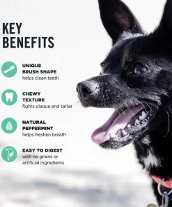 American Journey Extra-Small Grain-Free Fresh Dental Dog Treats -American Journey Store 213566 PT7. SY630 V1600462903