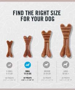 American Journey Small Grain-Free Fresh Dental Dog Treats 13 American Journey Small Grain-Free Fresh Dental Dog Treats -American Journey Store 213568 PT4. SY630 V1603372023