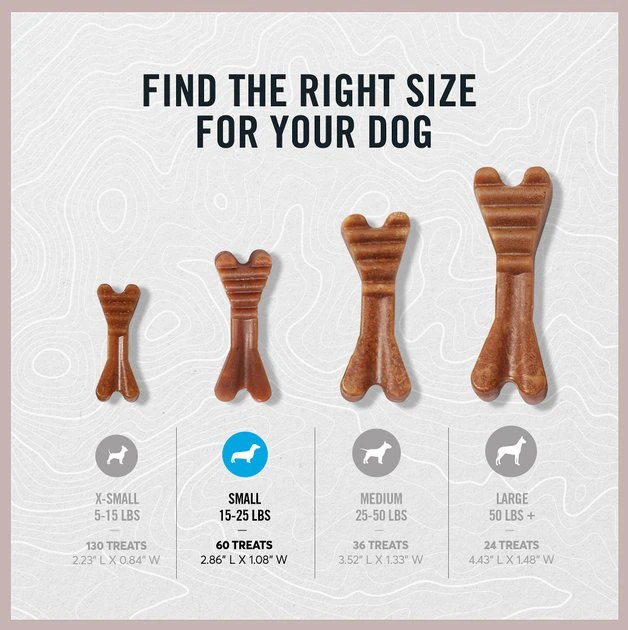 American Journey Small Grain-Free Fresh Dental Dog Treats 6 American Journey Small Grain-Free Fresh Dental Dog Treats - Image 4