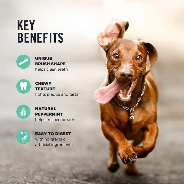 American Journey Small Grain-Free Fresh Dental Dog Treats 9 American Journey Small Grain-Free Fresh Dental Dog Treats - Image 7