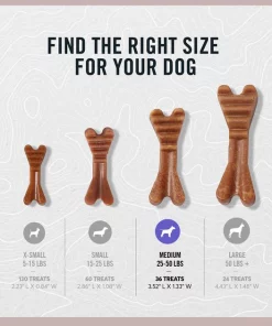 American Journey Medium Grain-Free Fresh Dental Dog Treats 13 American Journey Medium Grain-Free Fresh Dental Dog Treats -American Journey Store 213570 PT4. SY630 V1603370517