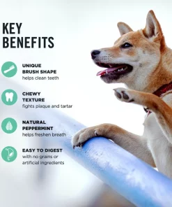 American Journey Medium Grain-Free Fresh Dental Dog Treats 16 American Journey Medium Grain-Free Fresh Dental Dog Treats -American Journey Store 213570 PT7. SY630 V1600463490