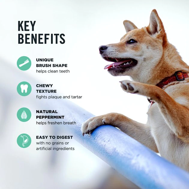 American Journey Medium Grain-Free Fresh Dental Dog Treats 9 American Journey Medium Grain-Free Fresh Dental Dog Treats - Image 7