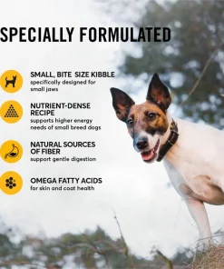 American Journey Active Life Formula Small Breed Chicken, Brown Rice & Vegetables Recipe Adult Dry Dog Food, 14-lb bag -American Journey Store 213621 PT4. SY630 V1594328197