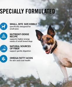 American Journey Active Life Formula Small Breed Salmon, Brown Rice & Vegetables Recipe Adult Dry Dog Food, 14-lb bag -American Journey Store 213623 PT4. SY630 V1594328165