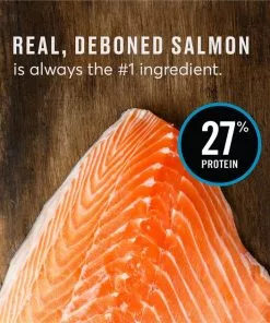 American Journey Active Life Formula Small Breed Salmon, Brown Rice & Vegetables Recipe Adult Dry Dog Food, 14-lb bag -American Journey Store 213623 PT8. SY630 V1594329078