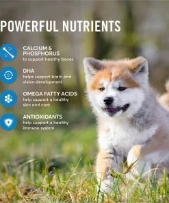 American Journey Active Life Formula Puppy Salmon, Brown Rice & Vegetables Recipe Dry Dog Food, 28-lb bag 15 American Journey Active Life Formula Puppy Salmon, Brown Rice & Vegetables Recipe Dry Dog Food, 28-lb bag -American Journey Store 214827 PT4. SY630 V1594320070