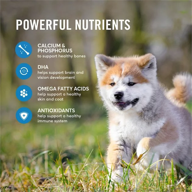 American Journey Active Life Formula Puppy Salmon, Brown Rice & Vegetables Recipe Dry Dog Food, 28-lb bag 7 American Journey Active Life Formula Puppy Salmon, Brown Rice & Vegetables Recipe Dry Dog Food, 28-lb bag - Image 5