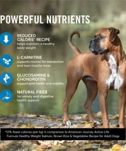 American Journey Active Life Formula Healthy Weight Salmon, Brown Rice & Vegetables Recipe Dry Dog Food, 28-lb -American Journey Store 214829 PT4. SY630 V1594333854