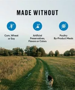 American Journey Active Life Formula Healthy Weight Salmon, Brown Rice & Vegetables Recipe Dry Dog Food, 28-lb -American Journey Store 214829 PT6. SY630 V1594394758