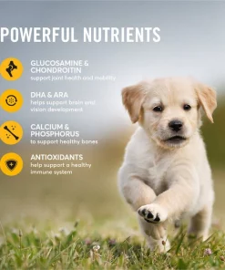 American Journey Active Life Formula Large Breed Puppy Chicken, Brown Rice & Vegetables Recipe Dry Dog Food, 28-lb bag -American Journey Store 214833 PT4. SY630 V1594319758