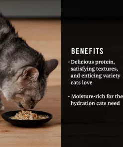 American Journey Landmark Broths Chicken, Carrots & Pumpkin Recipe Wet Cat Food Complement Pouches, 1.4 oz case of 16 -American Journey Store 219434 PT3. SY630 V1608268361