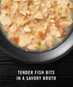 American Journey Landmark Broths Salmon, Tomatoes & Kale Recipe Wet Cat Food Complement Pouches, 1.4 oz case of 16 -American Journey Store 219486 PT2. SY630 V1608229376