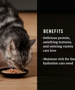 American Journey Landmark Broths Salmon, Tomatoes & Kale Recipe Wet Cat Food Complement Pouches, 1.4 oz case of 16 -American Journey Store 219486 PT3. SY630 V1608239577