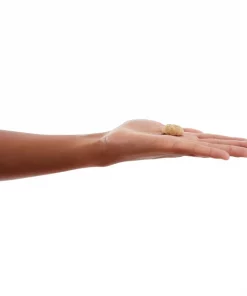 American Journey Apples & Cinnamon Flavor Grain-Free Oven Baked Crunchy Biscuit Dog Treats -American Journey Store 241529 PT4. SY630 V1608346338