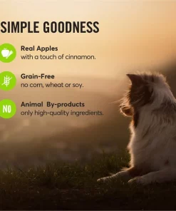 American Journey Apples & Cinnamon Flavor Grain-Free Oven Baked Crunchy Biscuit Dog Treats -American Journey Store 241529 PT7. SY630 V1608338848