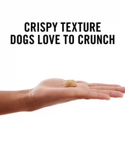 American Journey Sausage, Egg & Cheese Flavor Grain-Free Oven Baked Crunchy Biscuit Dog Treats -American Journey Store 241533 PT3. SY630 V1632188873