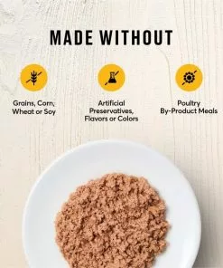 American Journey Kitten Pate Chicken Recipe Grain-Free Canned Cat Food, 3-oz, case of 24 -American Journey Store 242872 PT5. SY630 V1608270448