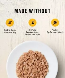 American Journey Kitten Minced Chicken Recipe in Gravy Grain-Free Canned Cat Food, 3-oz, case of 24 -American Journey Store 242874 PT5. SY630 V1608271636