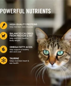 American Journey Indoor Pate Chicken Recipe Grain-Free Canned Cat Food, 5.5-oz, case of 24 14 American Journey Indoor Pate Chicken Recipe Grain-Free Canned Cat Food, 5.5-oz, case of 24 -American Journey Store 242876 PT4. SY630 V1608271334