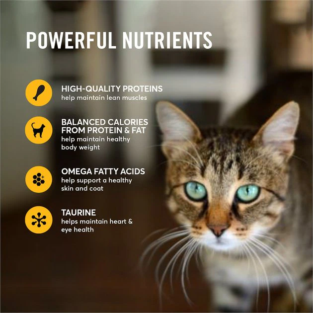 American Journey Indoor Pate Chicken Recipe Grain-Free Canned Cat Food, 5.5-oz, case of 24 7 American Journey Indoor Pate Chicken Recipe Grain-Free Canned Cat Food, 5.5-oz, case of 24 - Image 5