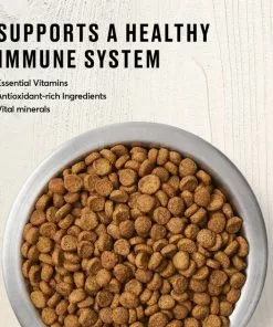 American Journey Kitten Chicken Recipe Grain-Free Dry Cat Food, 5-lb bag -American Journey Store 243722 PT3. SY630 V1611089503