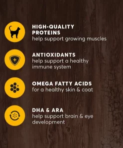 American Journey Kitten Chicken Recipe Grain-Free Dry Cat Food, 5-lb bag -American Journey Store 243722 PT4. SY630 V1611089505