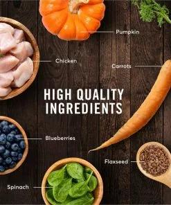 American Journey Kitten Chicken Recipe Grain-Free Dry Cat Food, 5-lb bag -American Journey Store 243722 PT5. SY630 V1611089507