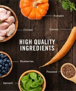 American Journey Indoor Recipe with Chicken Grain-Free Dry Cat Food, 12-lb bag -American Journey Store 243724 PT5. SY630 V1611089523