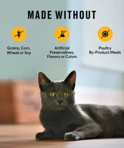 American Journey Indoor Recipe with Chicken Grain-Free Dry Cat Food, 12-lb bag -American Journey Store 243724 PT6. SY630 V1611089526