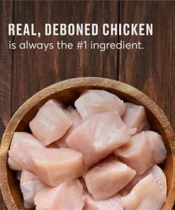 American Journey Indoor Recipe with Chicken Grain-Free Dry Cat Food, 12-lb bag -American Journey Store 243724 PT7. SY630 V1611608167