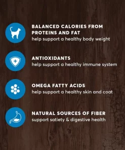 American Journey Indoor Recipe with Salmon Grain-Free Dry Cat Food, 12-lb bag -American Journey Store 243726 PT4. SY630 V1611089540